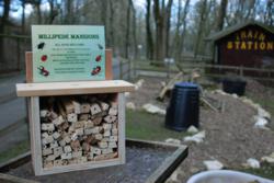 Bug Hotel at Blackpool Zoo
